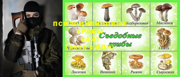 эйфоретик Надым