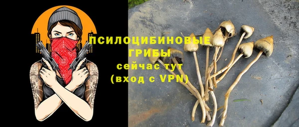 дживик Наволоки