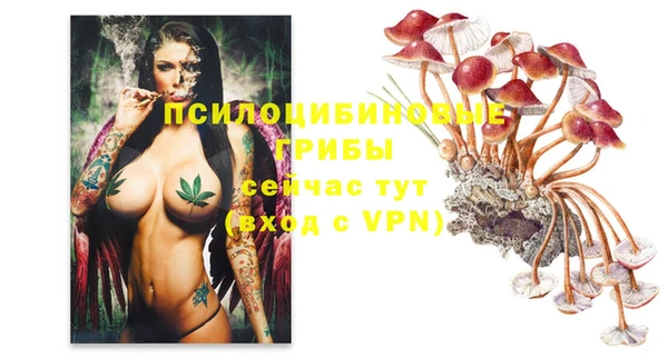 jwh Нефтекумск