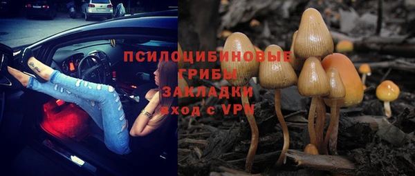 дмт Нефтегорск